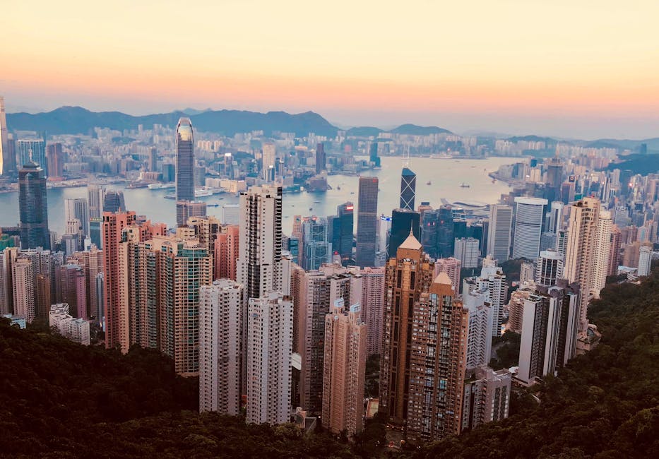 告別香港公司，迎向自由人生——香港公司註銷的歡樂指南